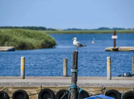 C11021-hemmet-husfold-55 Hemmet